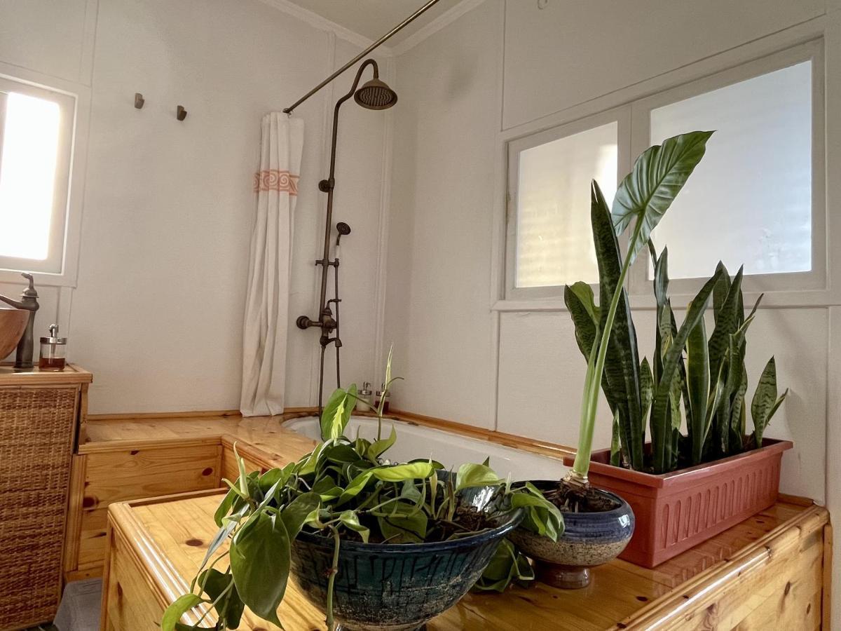 Houseboat65 - Historic Home On The Nile - Central Κάιρο Εξωτερικό φωτογραφία